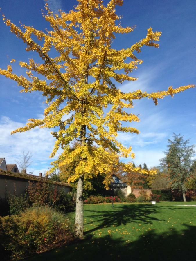 Les Couleurs Du Verger Beaumont-les-Autels المظهر الخارجي الصورة